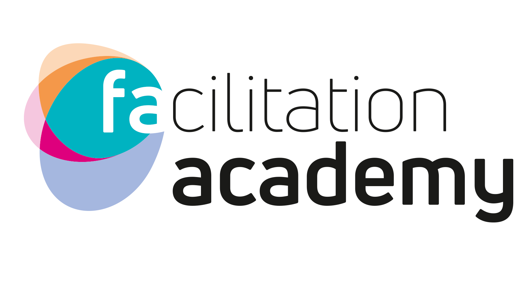 Facilitation Academy